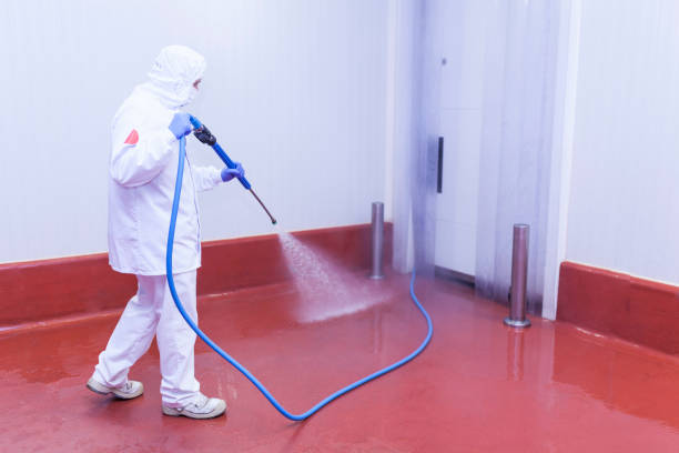 Best Brick and Stone Cleaning in Twin Lakes, CA